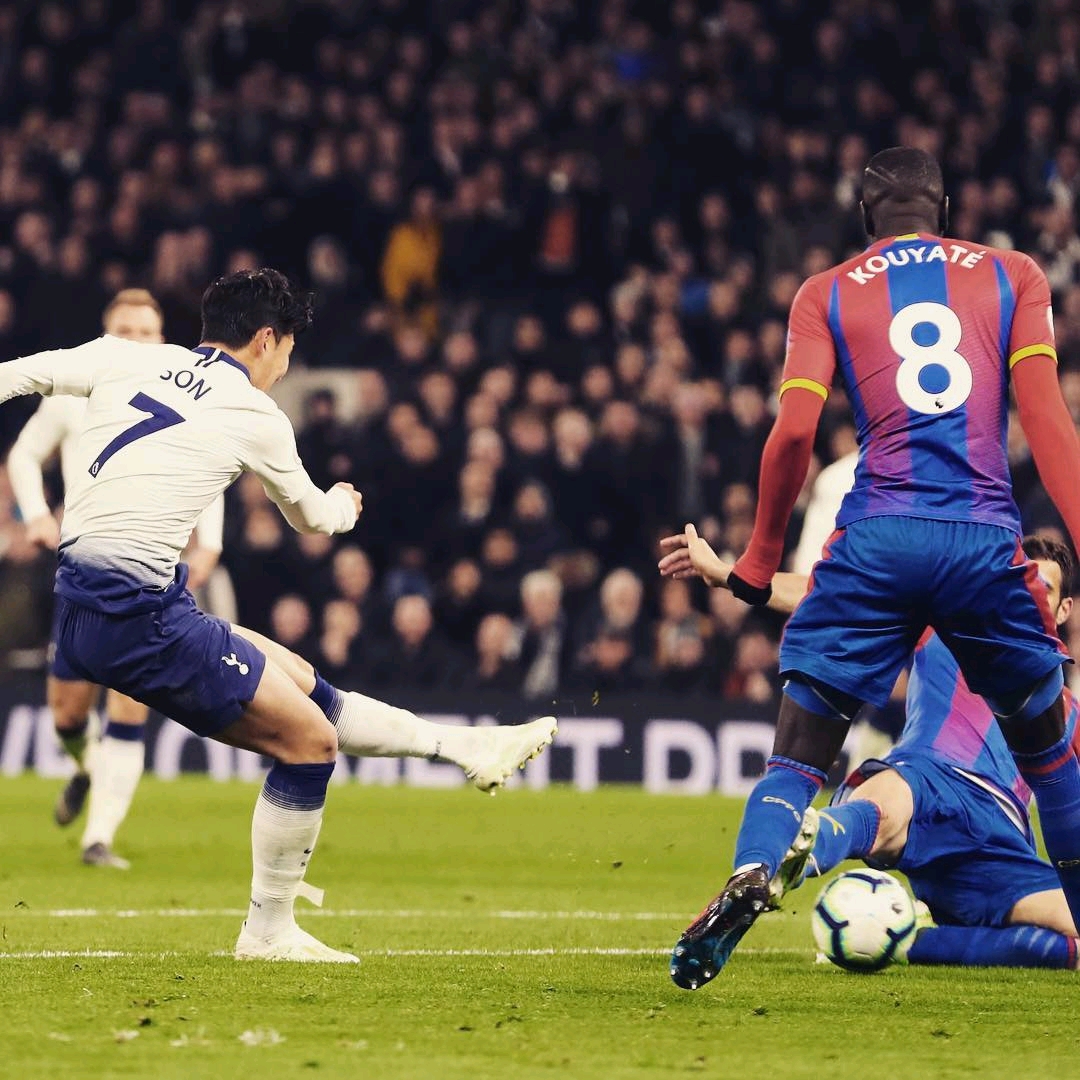 金搭档呢 金搭档呢